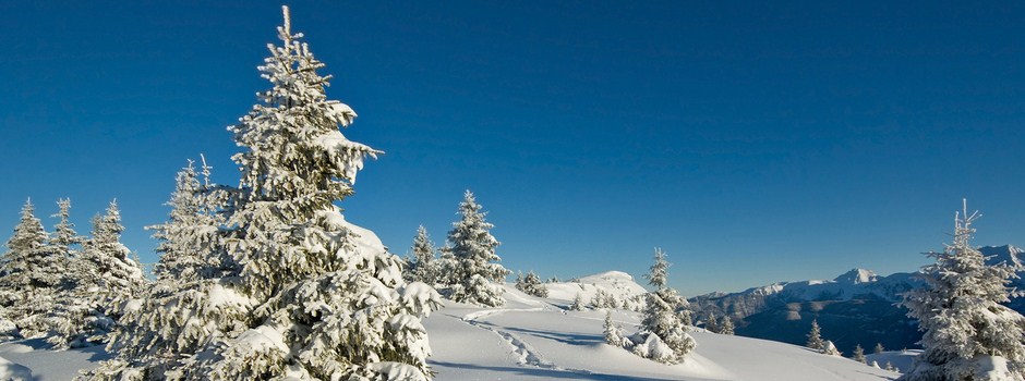 body-hiver.jpg