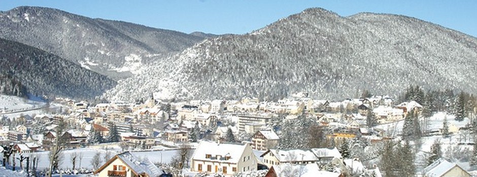 villarddelans2-hiver.jpg